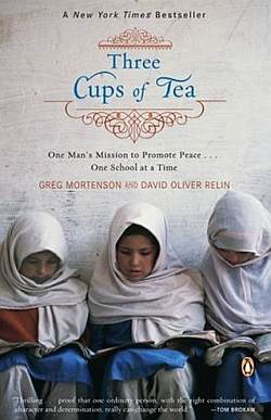book notes on three cups of tea